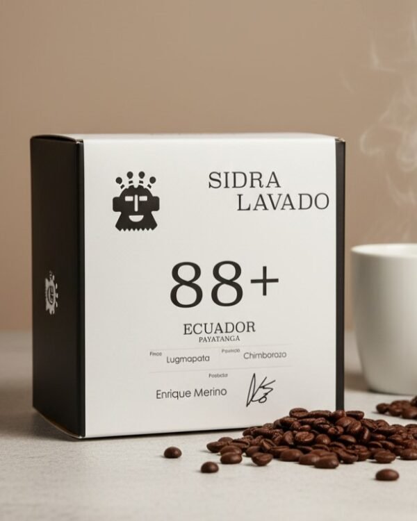 RAYMI SIDRA LUGMAPATA 88+